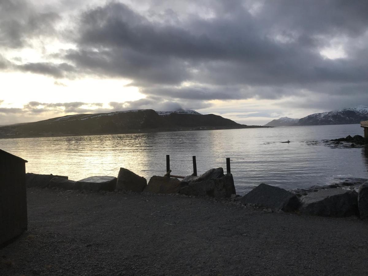 Lofoten Havfiske Leknes Kültér fotó