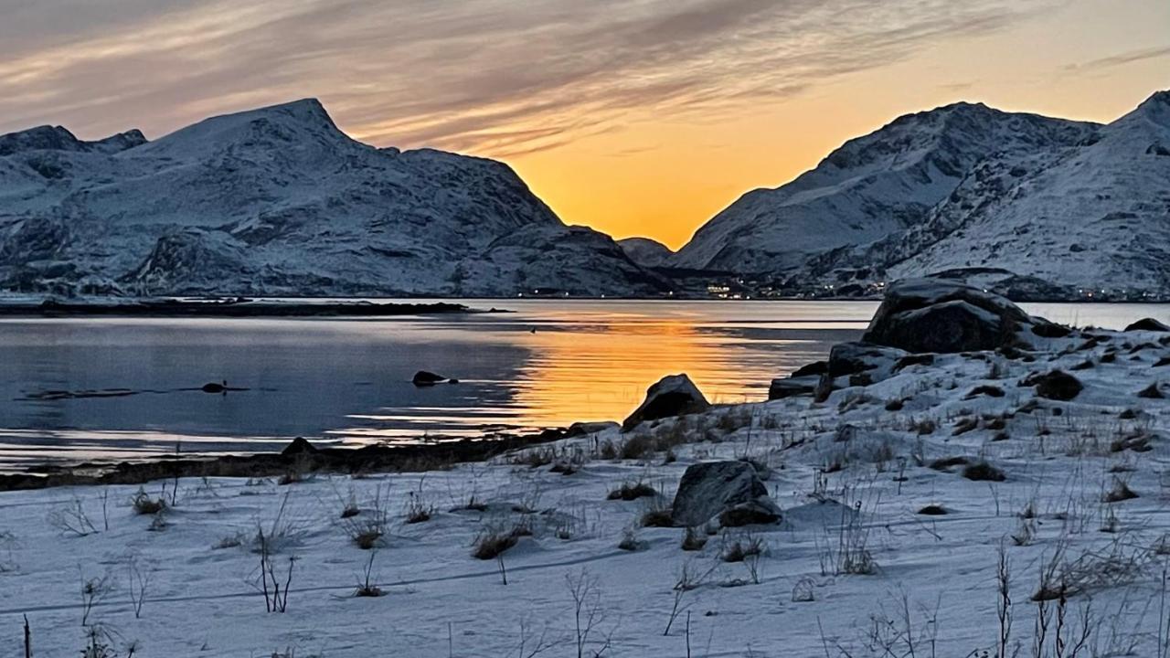 Lofoten Havfiske Leknes Kültér fotó