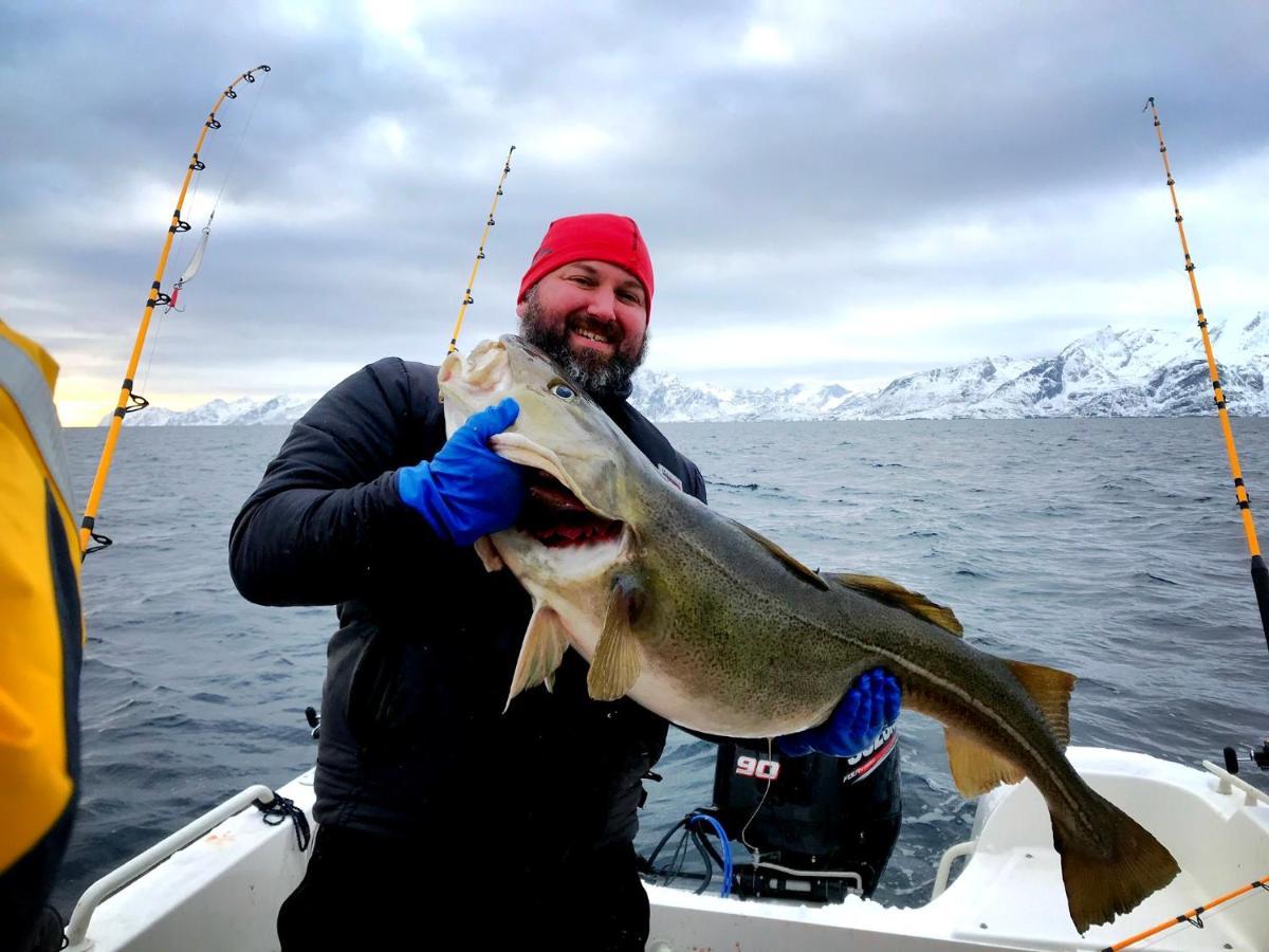 Lofoten Havfiske Leknes Kültér fotó