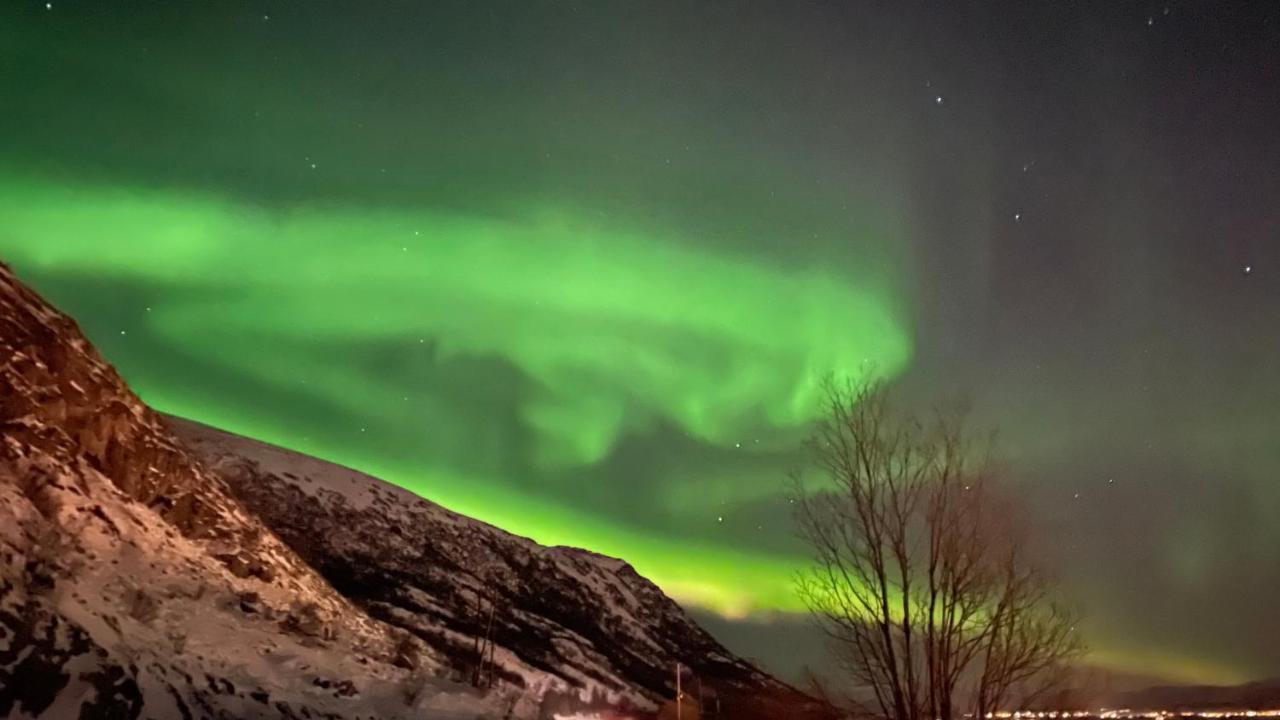 Lofoten Havfiske Leknes Kültér fotó