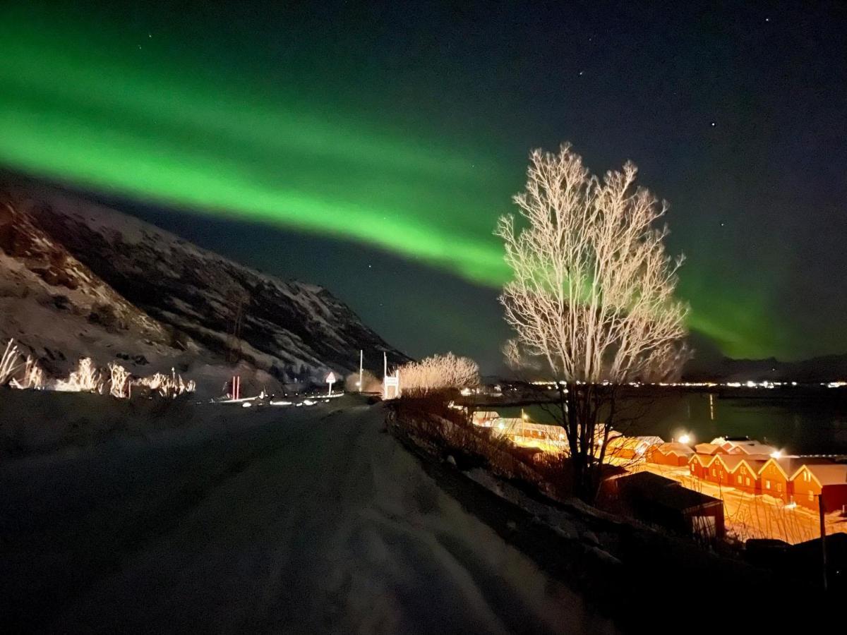 Lofoten Havfiske Leknes Kültér fotó