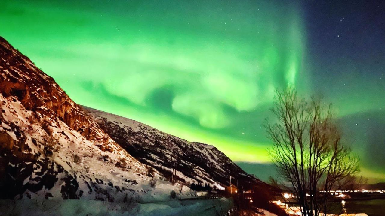 Lofoten Havfiske Leknes Kültér fotó