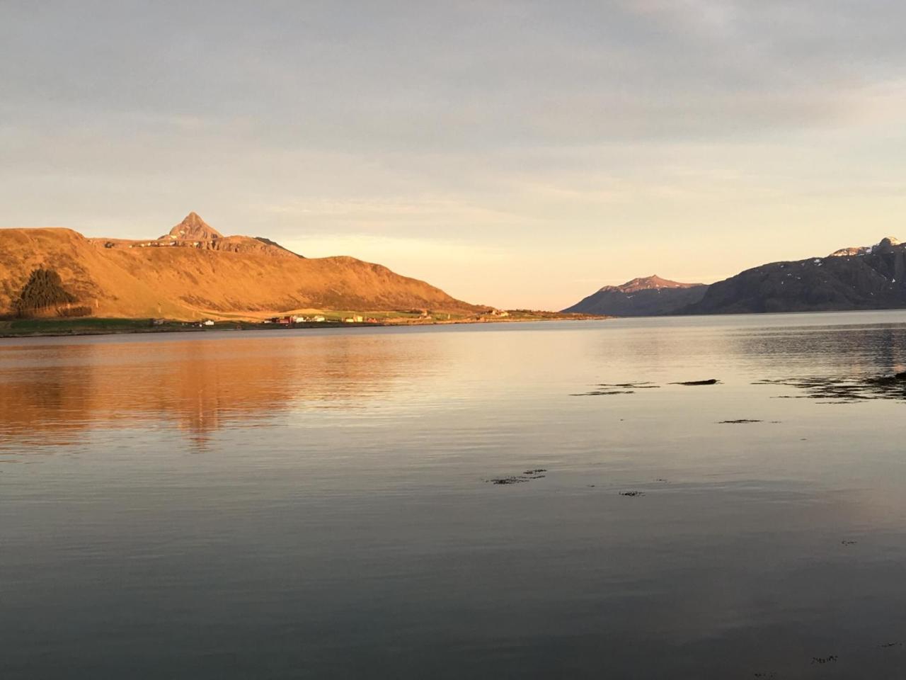 Lofoten Havfiske Leknes Kültér fotó