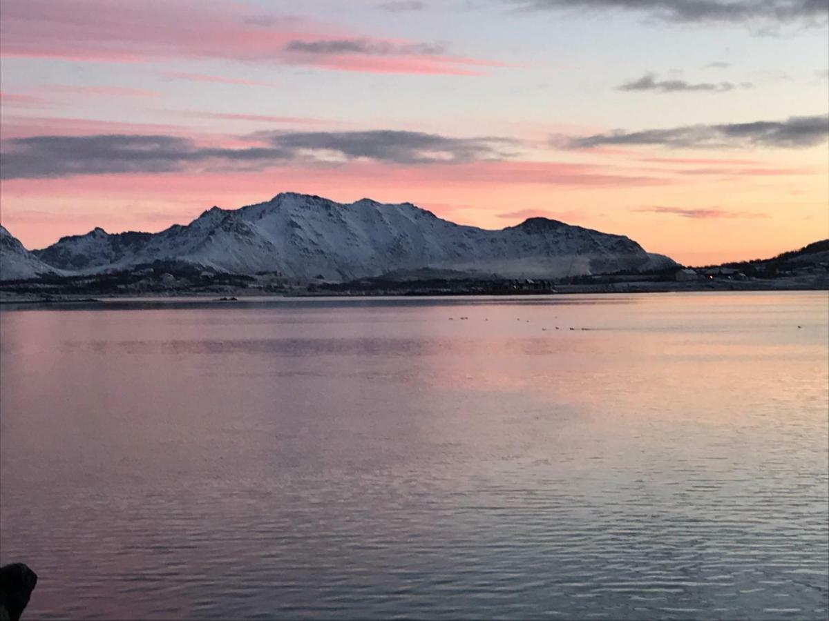 Lofoten Havfiske Leknes Kültér fotó